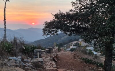 Mirador Cuatro Palos: Un oasis natural en la cima de la Sierra Gorda